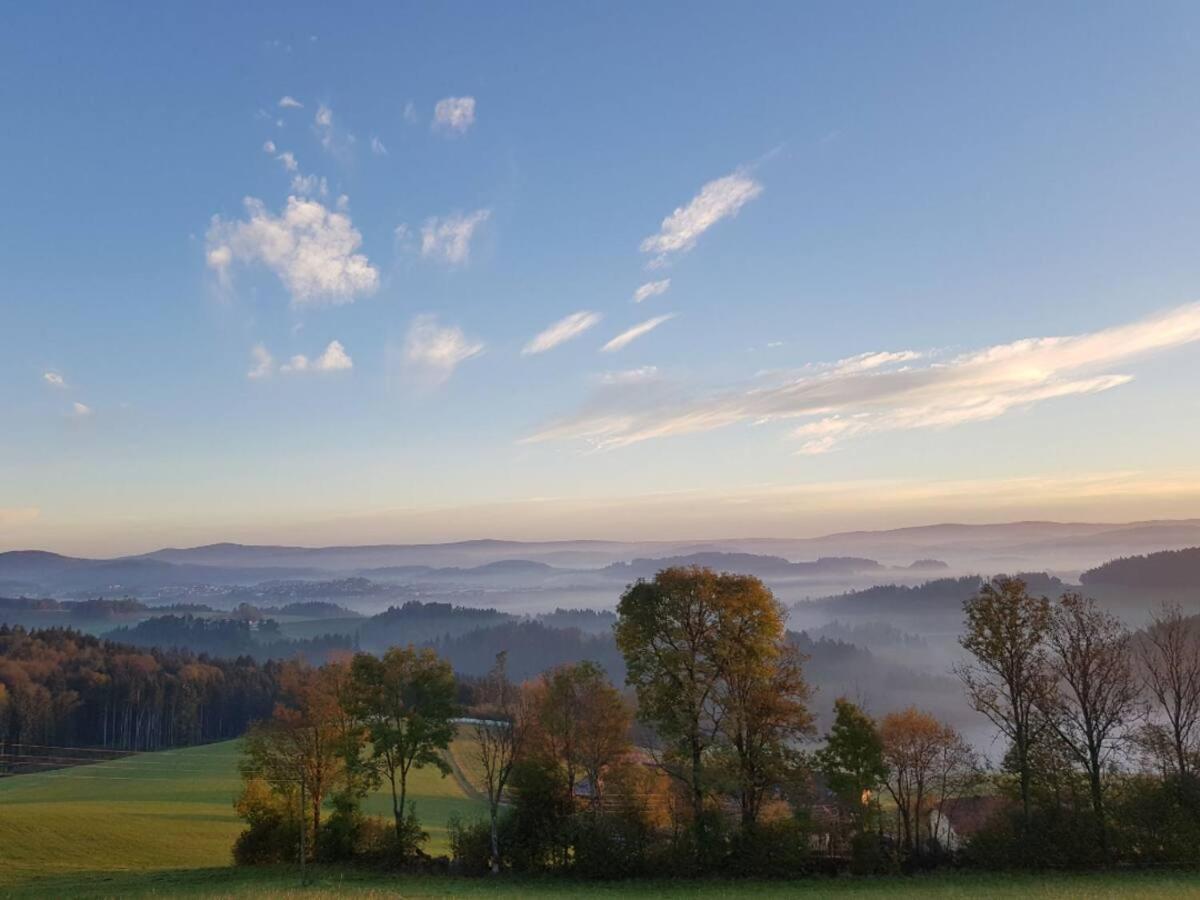 Ferienwohnung Im Muehlviertler Panorama Vierseithof Lembach im Mühlkreis Dış mekan fotoğraf