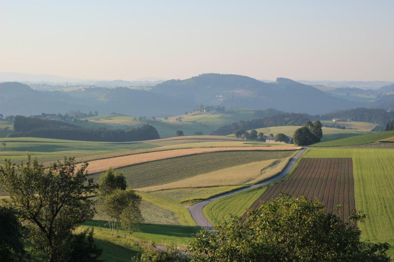 Ferienwohnung Im Muehlviertler Panorama Vierseithof Lembach im Mühlkreis Dış mekan fotoğraf