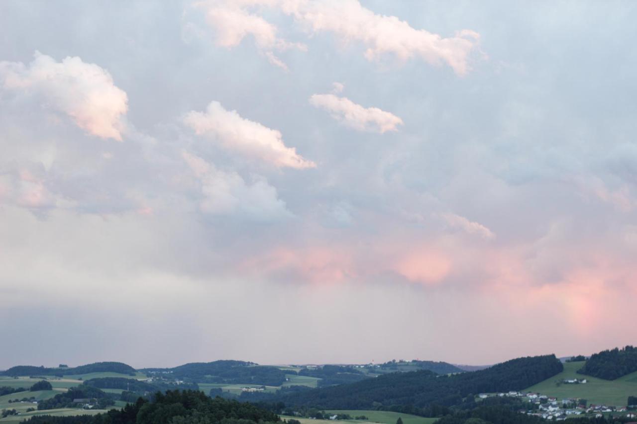 Ferienwohnung Im Muehlviertler Panorama Vierseithof Lembach im Mühlkreis Dış mekan fotoğraf