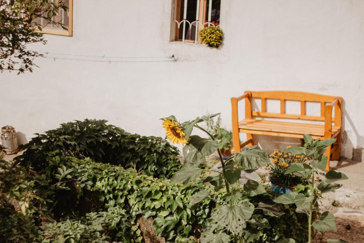 Ferienwohnung Im Muehlviertler Panorama Vierseithof Lembach im Mühlkreis Dış mekan fotoğraf